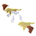 69710189702552.png