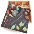 pol_pl_Drewniana-skrzynka-kreatywna-Lesne-skarby-Tender-Leaf-Toys-1139_2.jpg