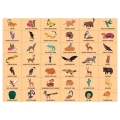 pol_pl_Mudpuppy-Puzzle-obserwacyjne-Amerykanska-pustynia-64-elementy-4-6706_5.jpg