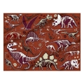 pol_pl_Mudpuppy-Puzzle-dwustronne-Dinozaury-100-elementow-6-6270_5.jpg