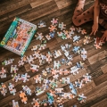 pol_pl_Mudpuppy-Puzzle-obserwacyjne-Muzeum-historii-naturalnej-64-elementy-4-8522_8.jpg