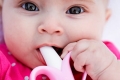 Pink-Banana-Brush-2016_019.jpg